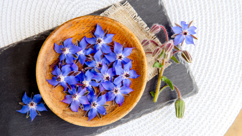 borage flowers in wooden bowl