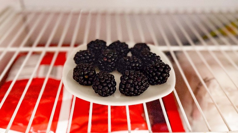 Blackberries on white plate in freezer