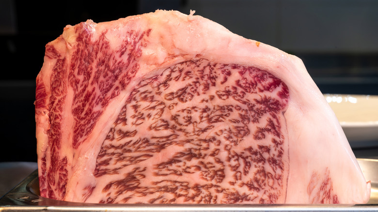 Raw Wagyu beef on a tray.