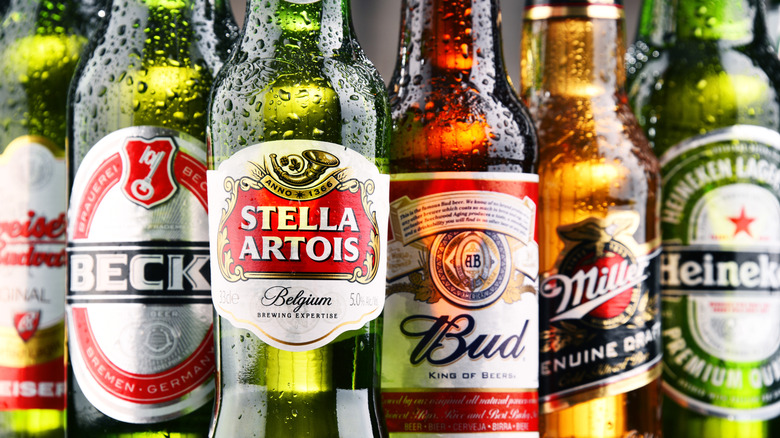Bottles of different beer brands, like Stella Artois, Bud, Beck, and Miller