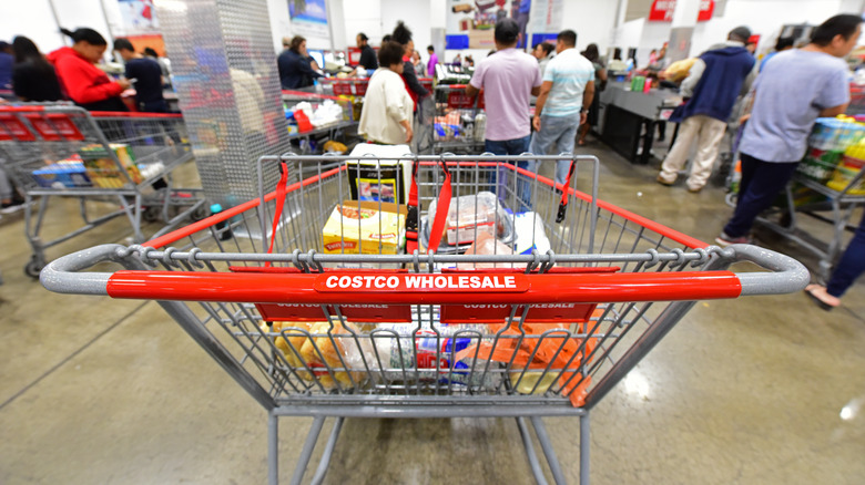 Costco shopping cart filled with items inside the store with customers waiting to check out