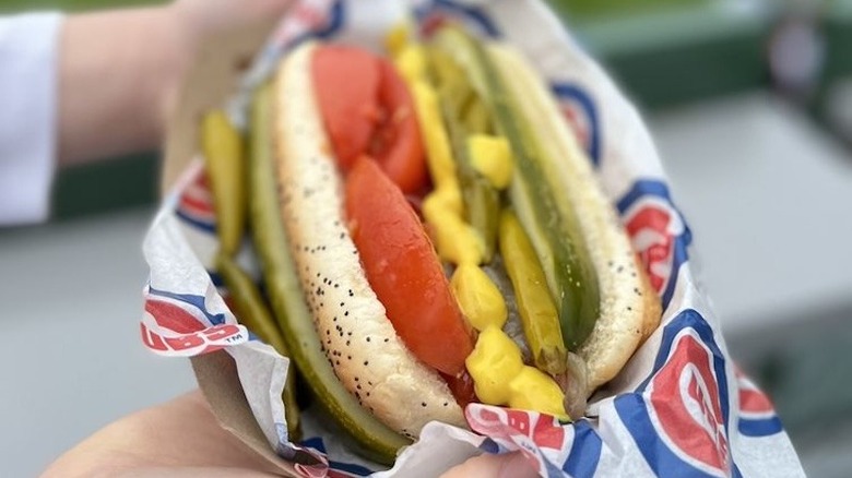 A person holding a Chicago-style hot dog at Wrigley Field in Chicago