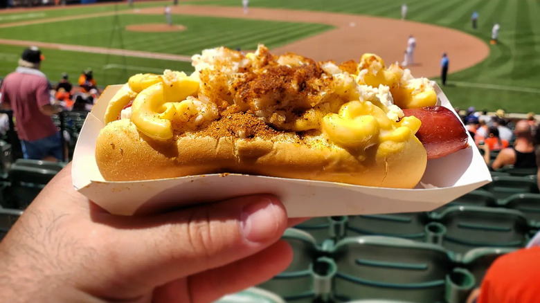 A person holding a Crab Mac Dog at Oriole Park