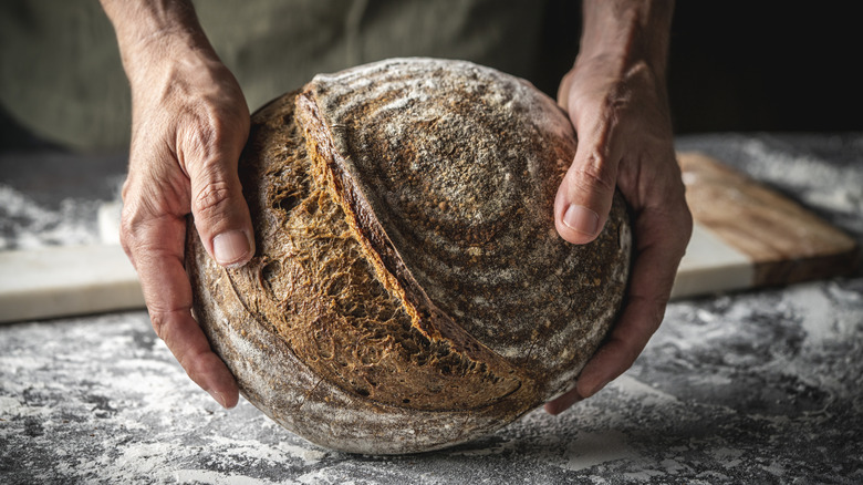 Hands holding a sourdough loaf.