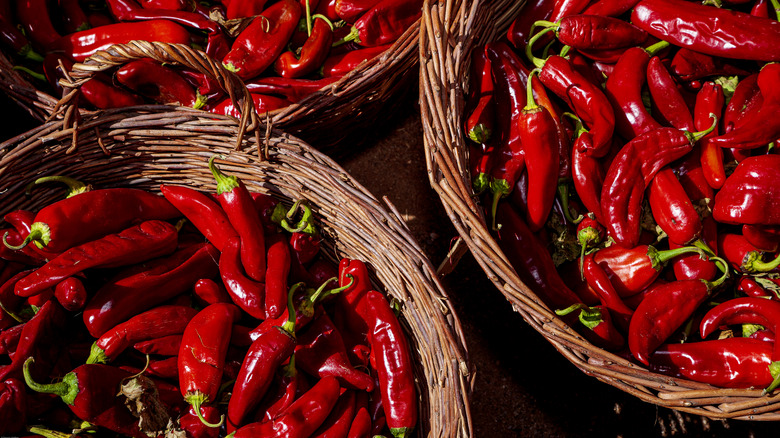 Red chile peppers