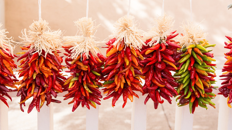 Chile peppers drying out