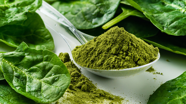 A mound of freeze-dried spinach powder on a spoon, surrounded by fresh spinach leaves, over a white tabletop.