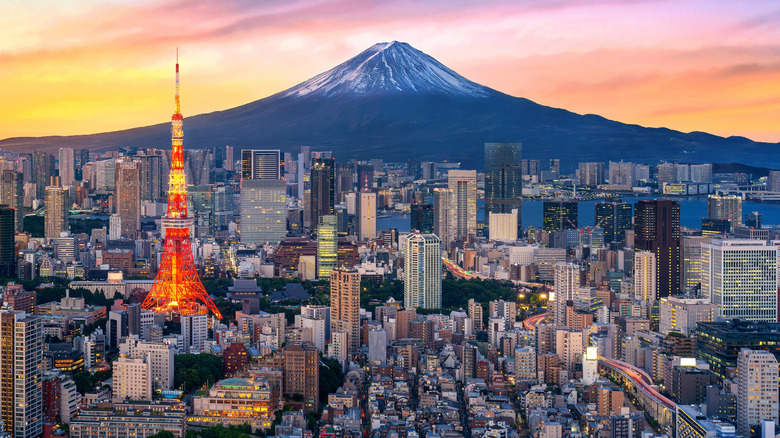 Tokyo skyline in front of Mount Fuji