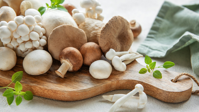 Variety of mushrooms on a wooden cutting board
