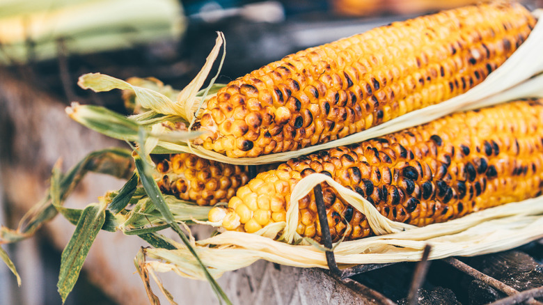 Grilled corn on the cob