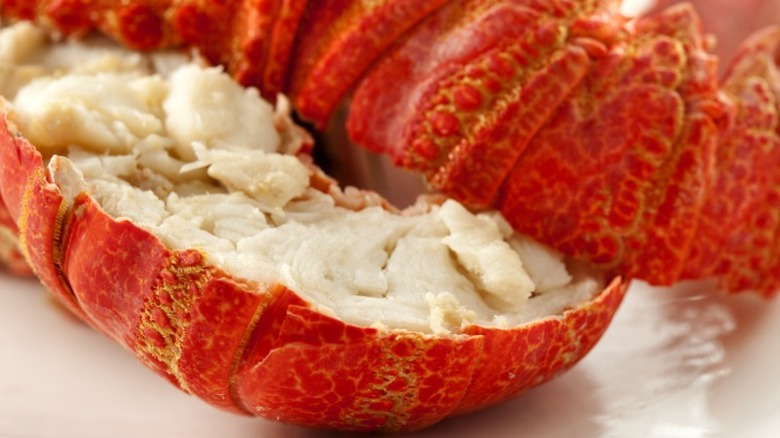 Close up of a lobster tail cut open with the meat showing in the shell.