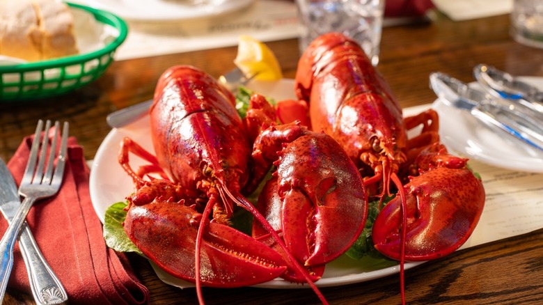 Two freshly cooked lobsters on a plate with silverware on both sides and a basket of bread behind them.
