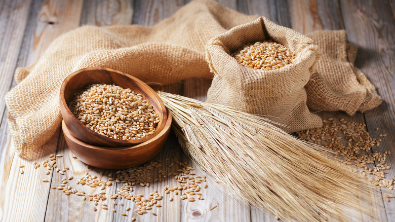 Bowl and cloth sack of harvested barley on either side of barley stalks on a wooden table