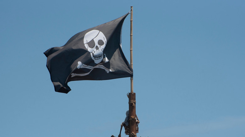 Pirate flag on a ship's mast against the sky