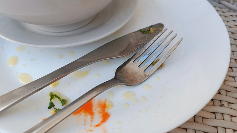 Empty plate and utensils after meal is finished