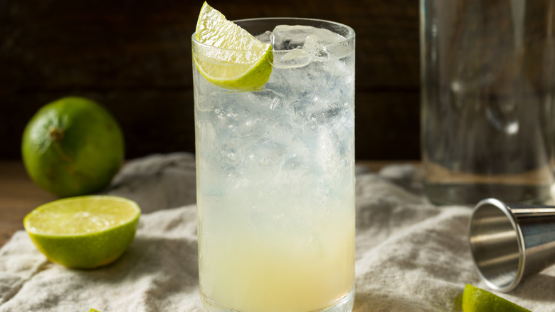 A glass of gin rickey with lime