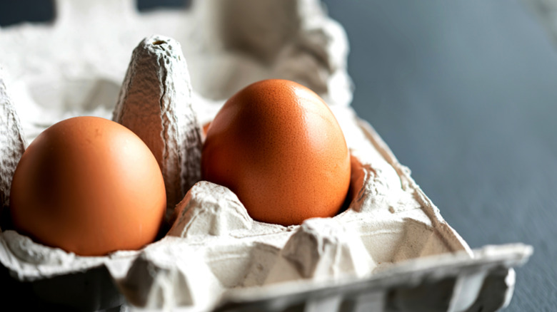 Two brown eggs in a carton in close-up.