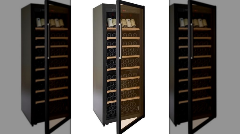 EuroCave Free Standing Wine Cellar