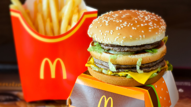 A Big Mac and an order of french fries from McDonald's