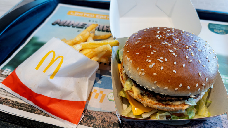 Big Mac in box and a side of fries on a tray.