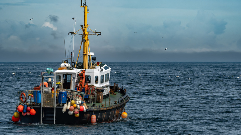 A fishing boat going to sea