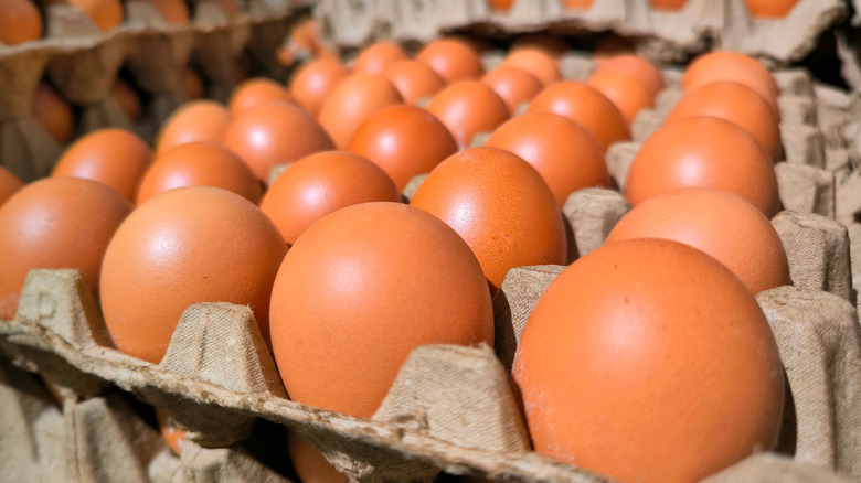 Close-up photo of fresh eggs neatly arranged in a traditional carton tray.