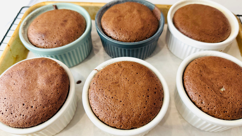 Baked chocolate cakes in ramekins