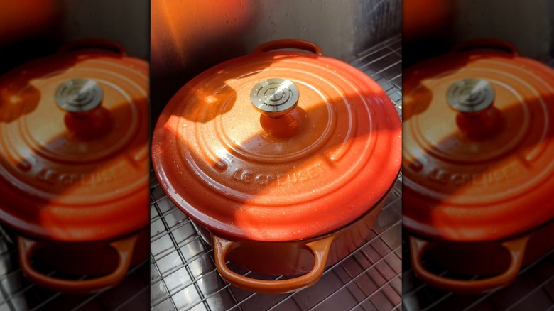 Flamme dorée colored Le Creuset lidded pan in sink