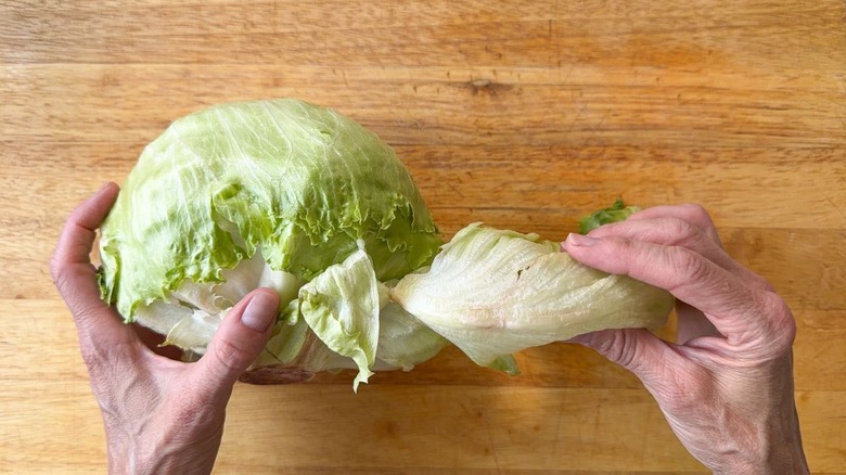 Removing damaged outer leaves from a head of iceberg lettuce