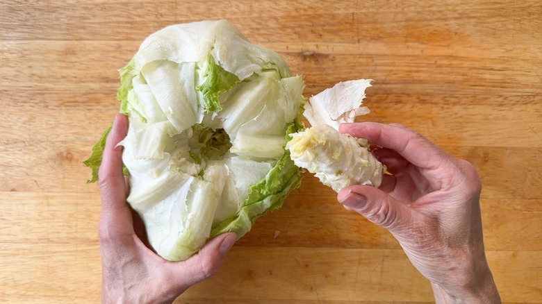Removing the core from a head of iceberg lettuce