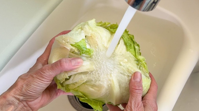 Running cold water over a head of iceberg lettuce in a sink