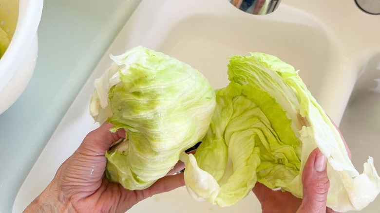 Separating iceberg lettuce leaves from the head