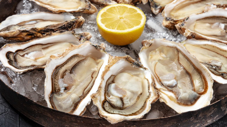 Oyster Lovers Need To Make The Trip To The Oyster Capital Of The World