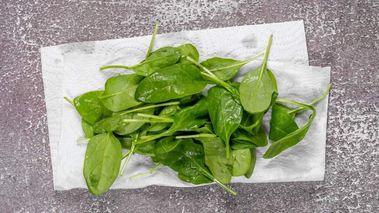 Spinach on damp paper towel