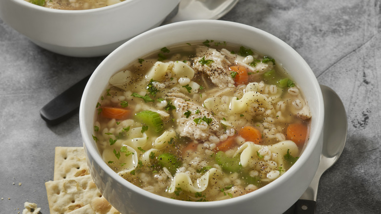 chicken noodle soup