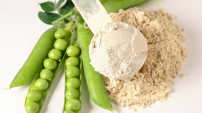 Drop down photo of pea protein powder being measured out