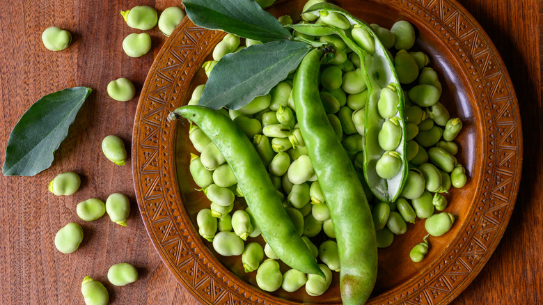 fava beans and pods