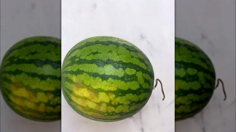 Striped watermelon