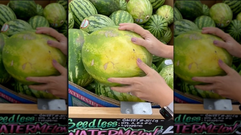 Person's hands gripping a watermelon with yellow field spot