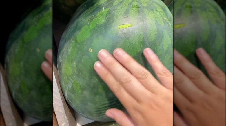 Person's hand touching a dull watermelon