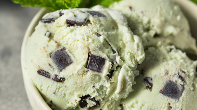 A close-up of mint chocolate chip ice cream