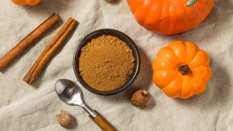Bowl of pumpkin spice with nutmeg, cinnamon sticks, and pumpkins on the side