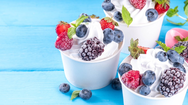 frozen yogurt with berries and mint