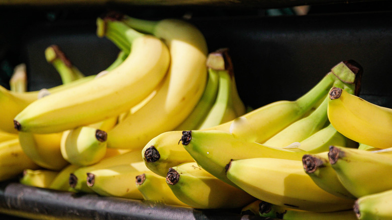 Bananas on a grocery store shelf
