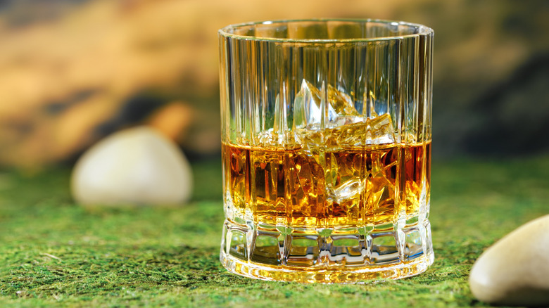 glass of Scottish whisky sitting on moss