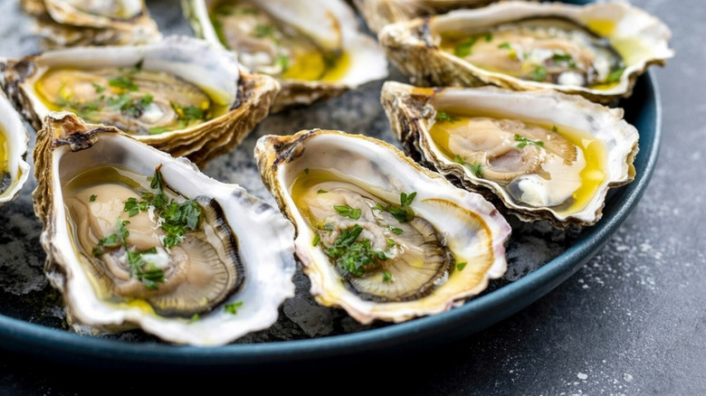 Plate of fresh oysters