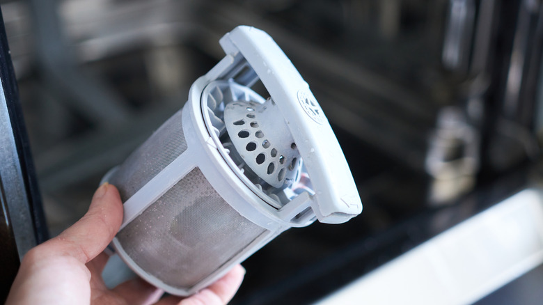 Cleaned filter for the dishwasher