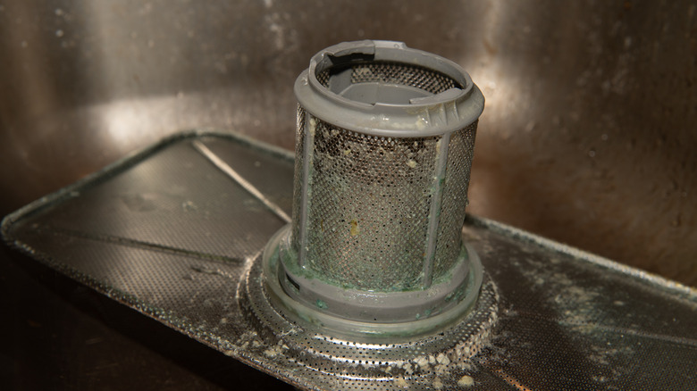 Mold buildup on a dishwasher filter
