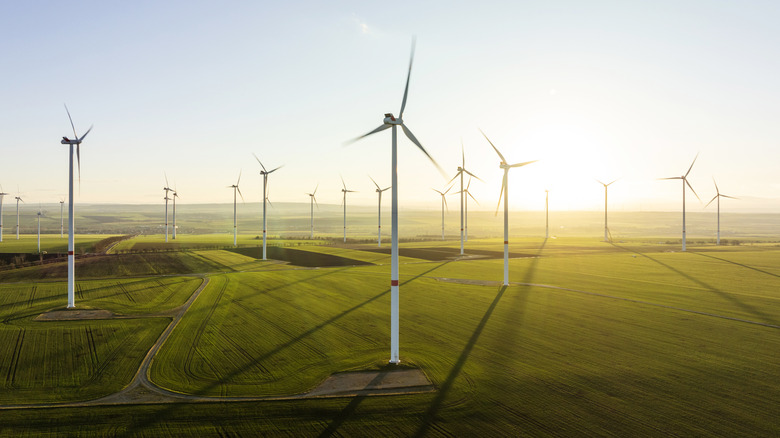 Aerial view of wind turbines.