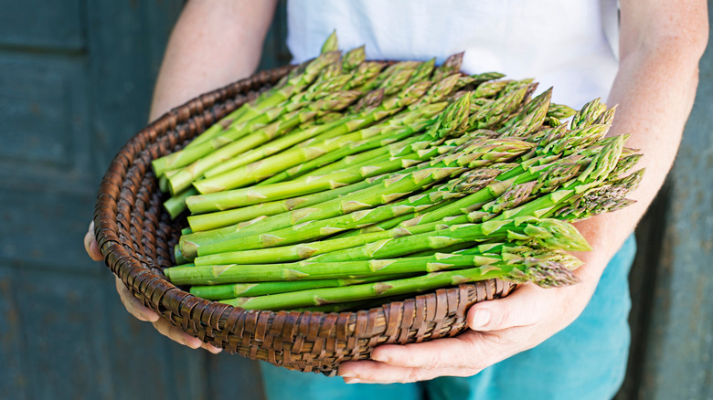 Person holding a basket of asparagus